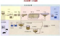 科普小知识：怎么区分絮凝剂和混凝剂