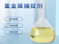 水中重金属离子的还原和沉淀过程如何判断是否已经结束?